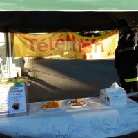 2016-12-03 Telethon (120)